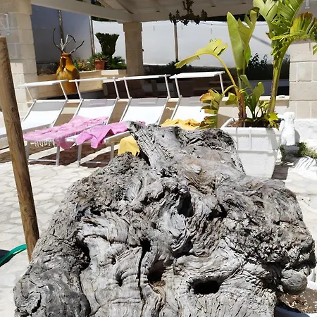 Grace Villa Selva Di Fasano
